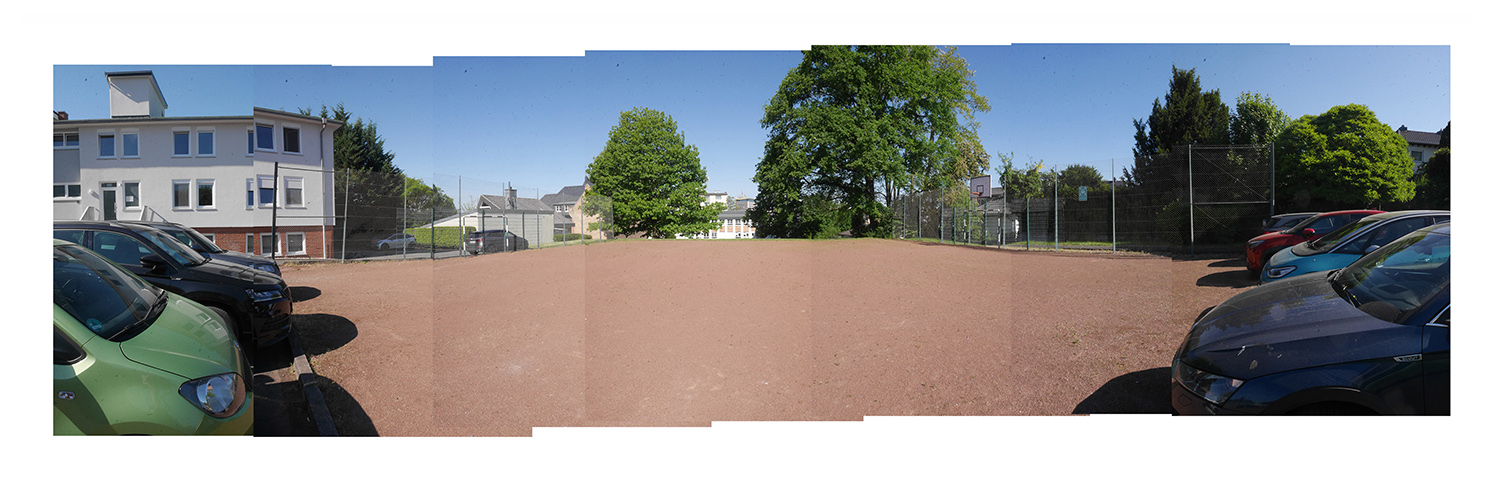 Image module