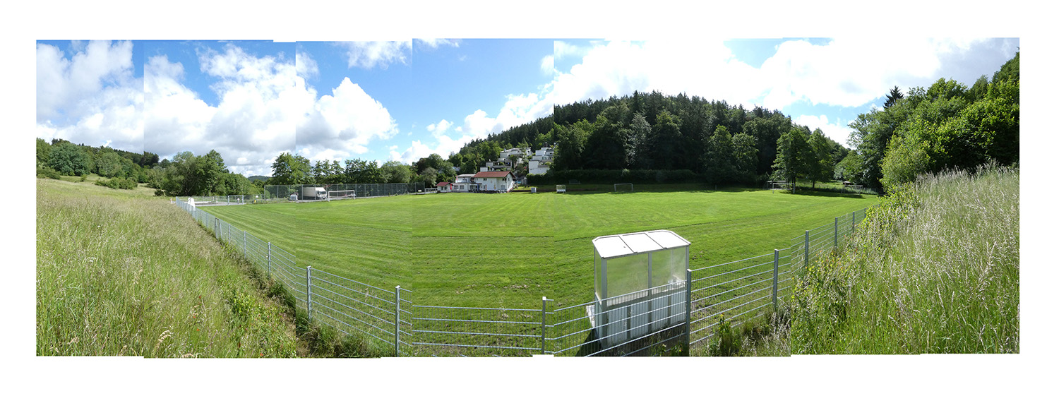 Image module