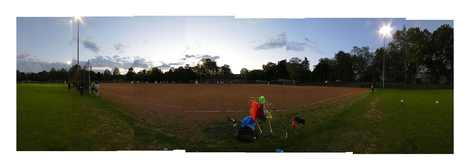 Image module