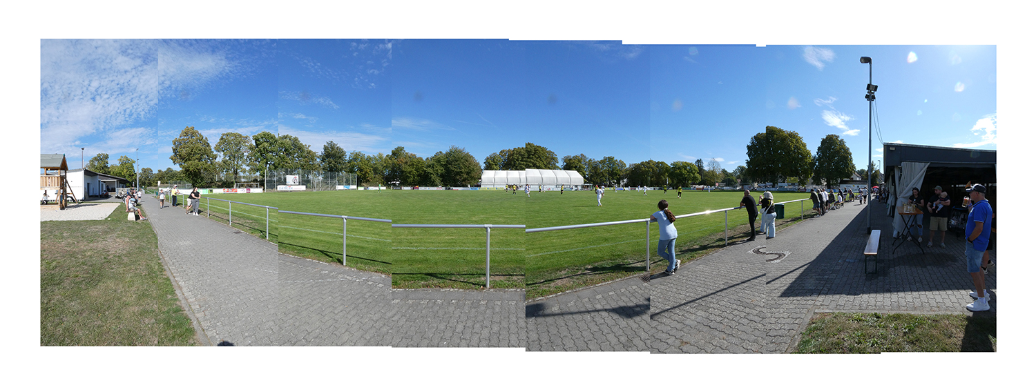 Image module
